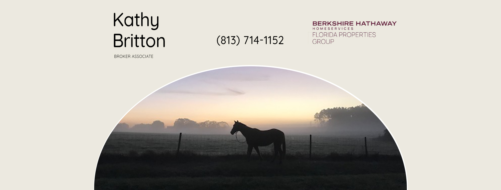 Kathy Britton - Realtor | Wesley Chapel FL