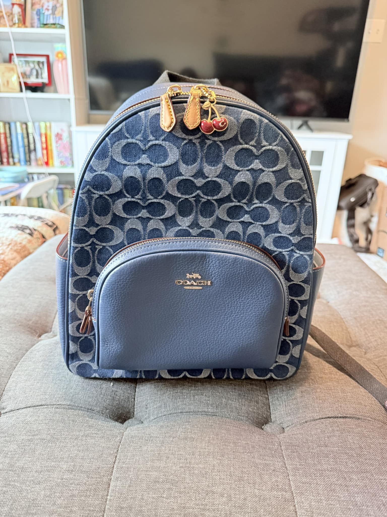 backpack camera and laptop Ulanzi BP10 Hardshell 35L Colour:Custom Printed strong and solid Felchen Berkley Rod Management Racks