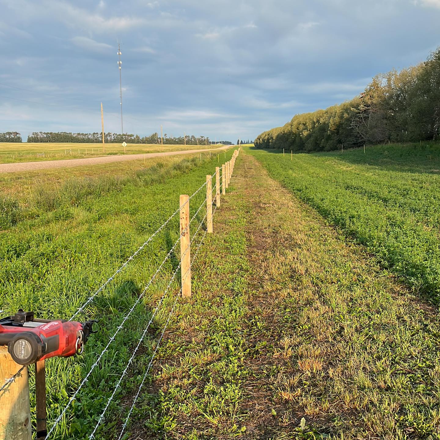 Silver Fern Custom Fencing