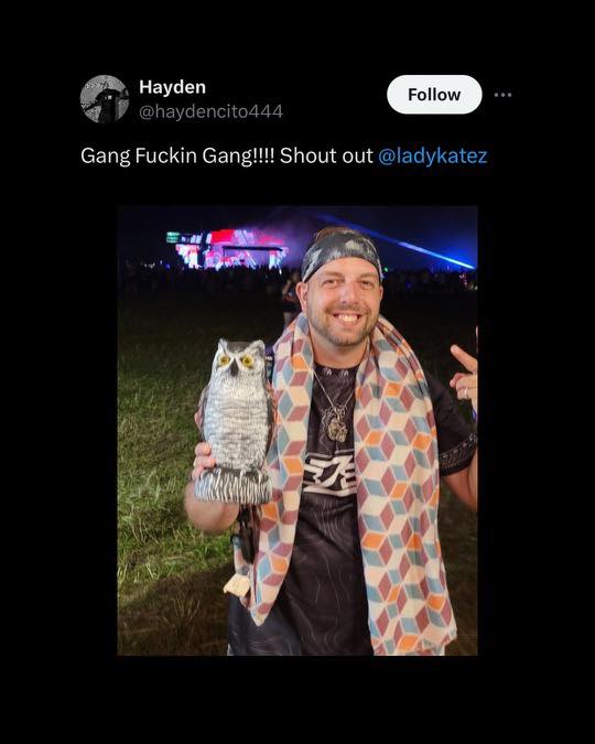 The Festive - The first #FindTheOwl of 2024 🦉 Night one of Sol Fest in ...