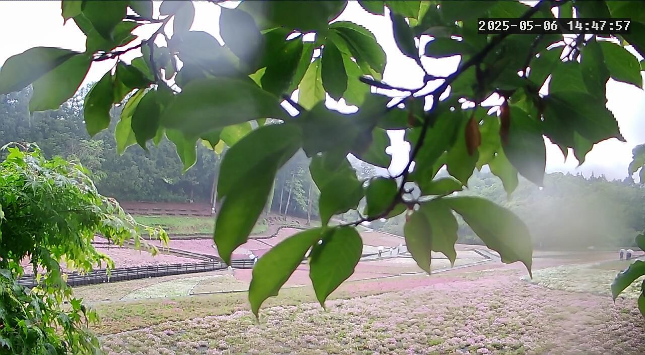 羊 山 公園 ライブ カメラ
