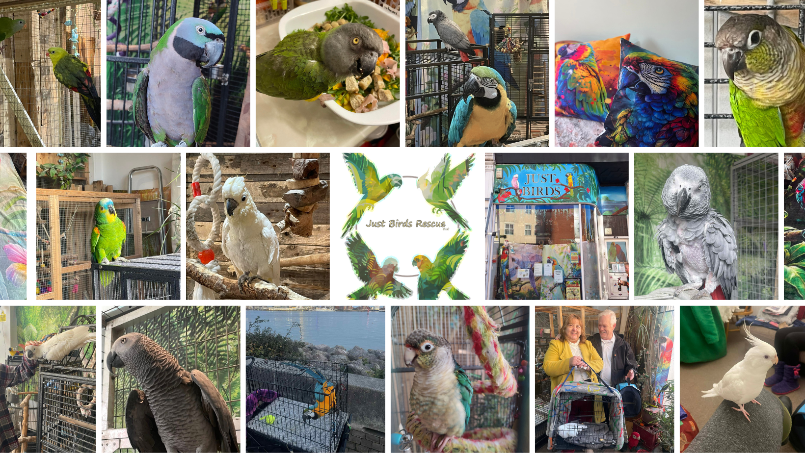 Photo inspiration: Gallery Detail: Riverside Aviaries
