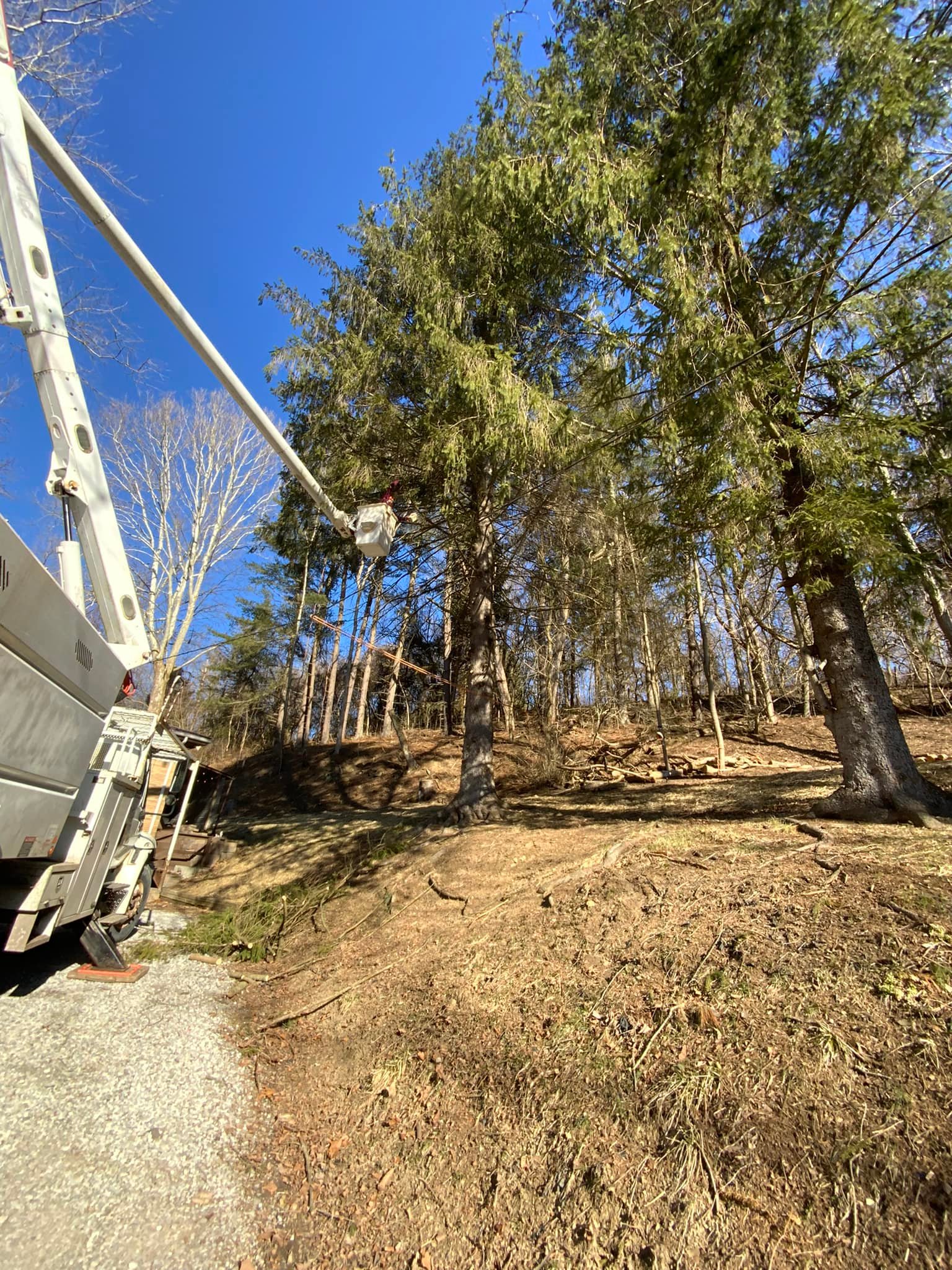 Harris tree service llc | Flushing OH