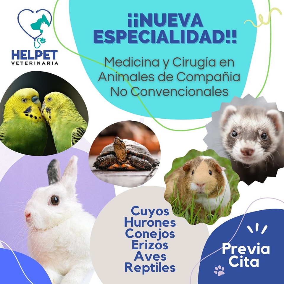 A partir de ahora contaremos con... - Helpet Veterinaria