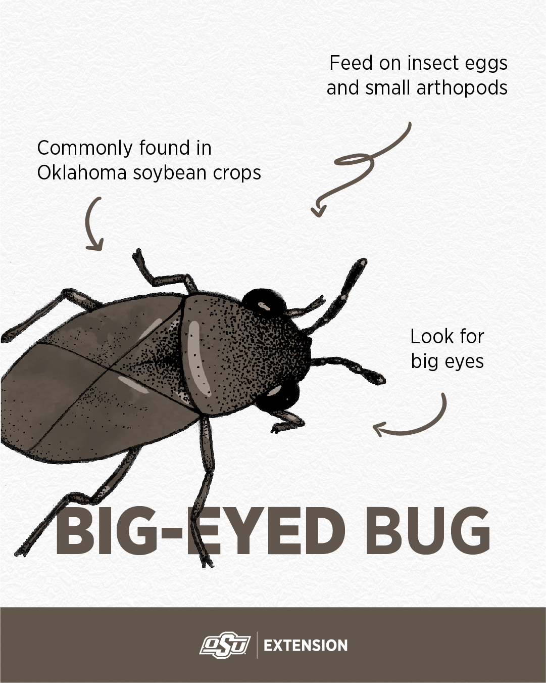 Choctaw Nation Land Management | Hugo OK