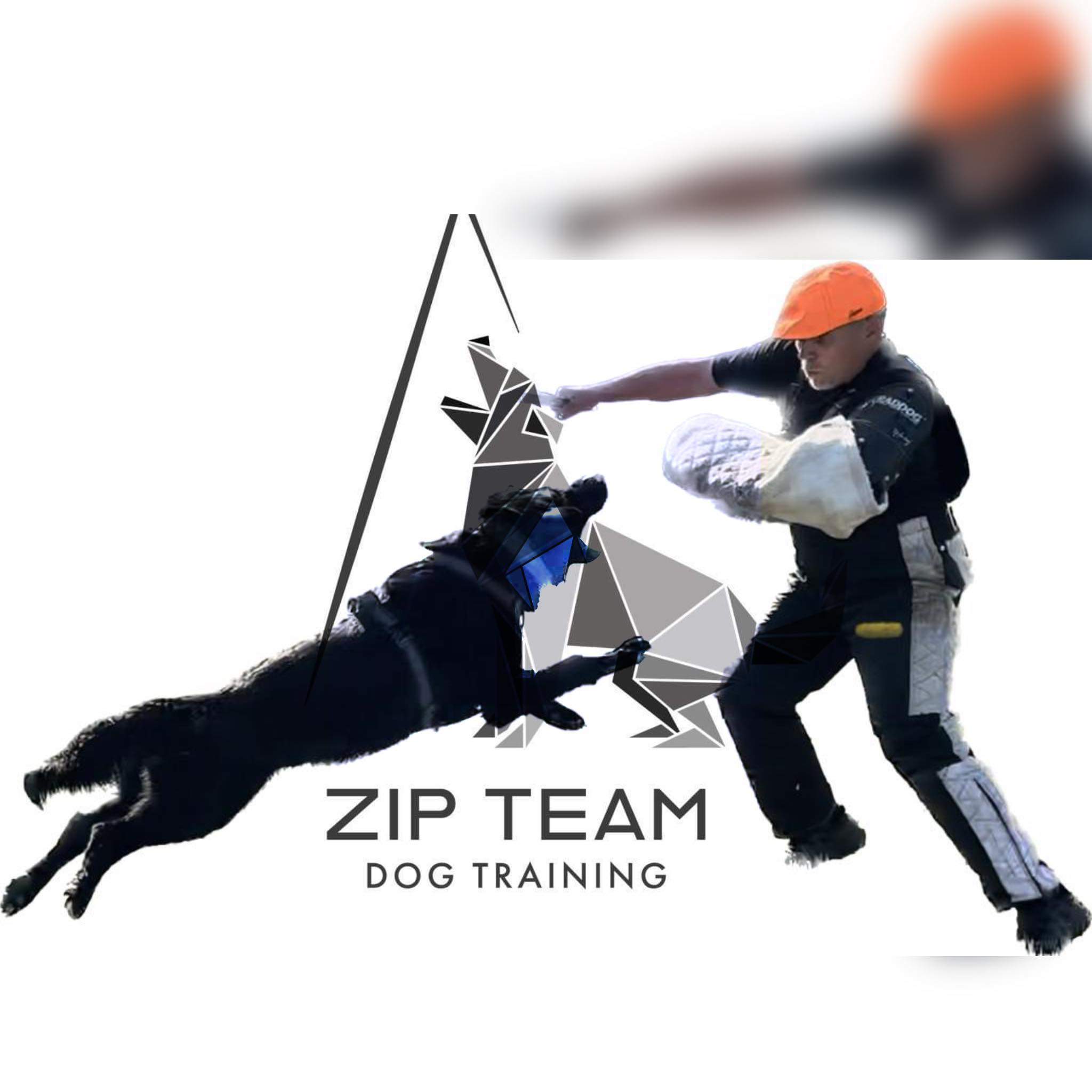 Offensive vs. Defensive | Zip Team Dog Training with Tuukka Nikola