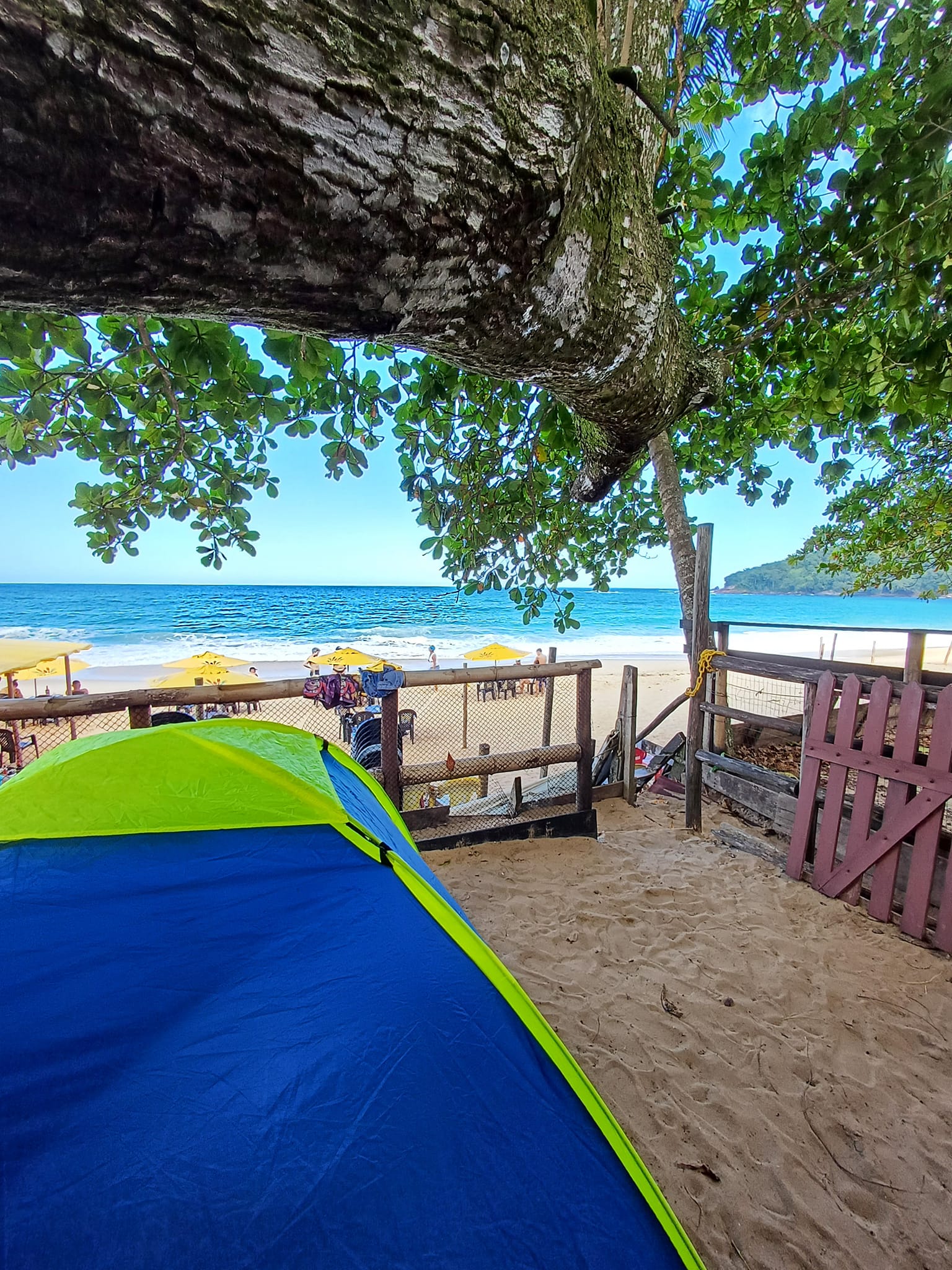 deryan tent Luxury Pop-Up Beach XXL - Anti-UV 50+ Giro Unisex Adult Ringo 260 Gaskocher Set:Gaskocher