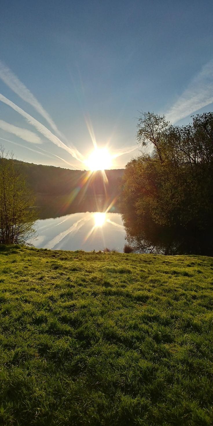 A beautiful Spring morning to all! 🌸🏵️💮🪻🇩🇪