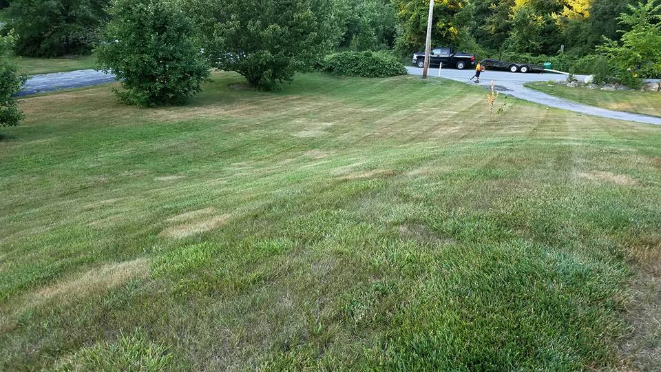 K &amp; B Landscaping | Lowell MA
