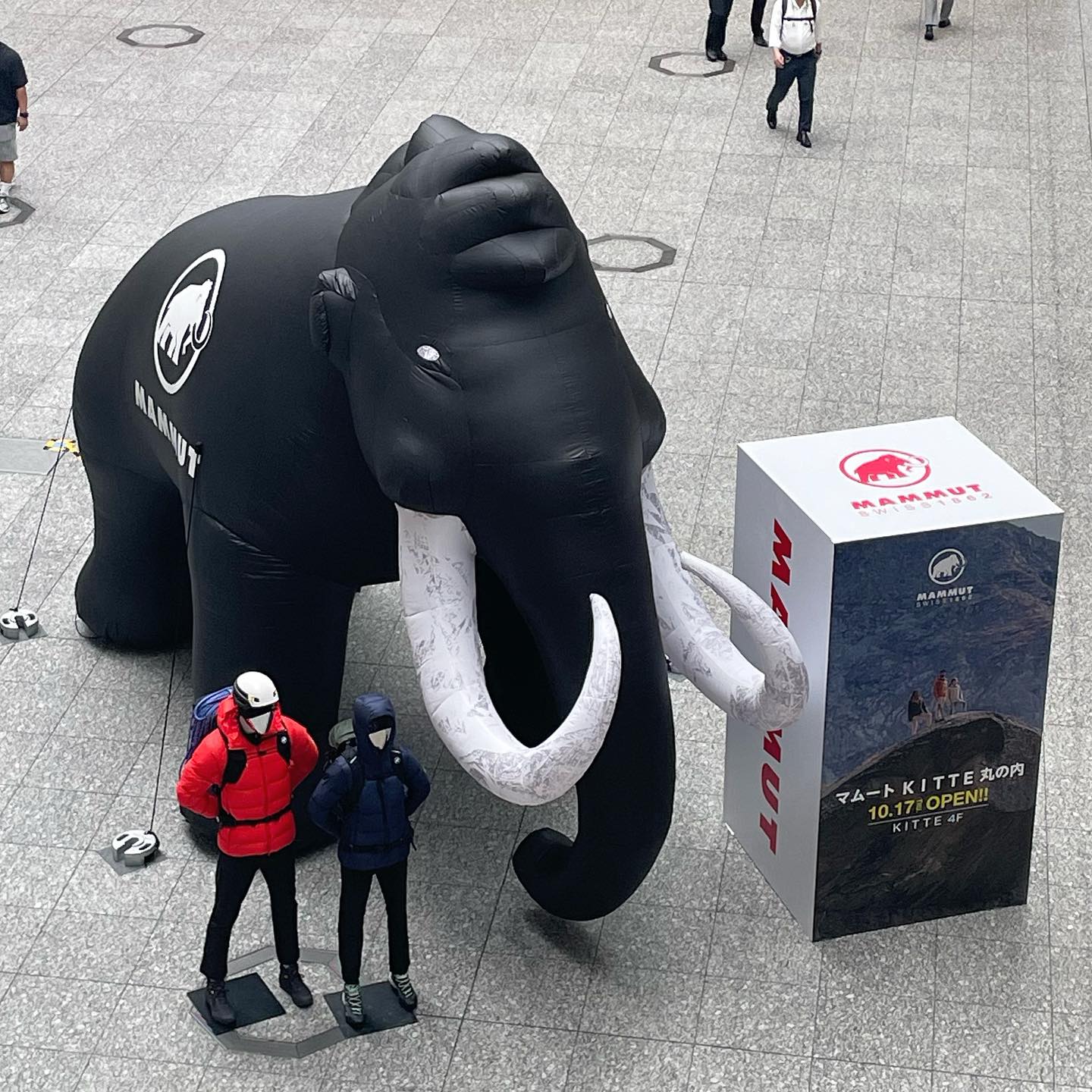 マムート 動物 Mammut - マムート ぬいぐるみ Mの通販 by ユーベル