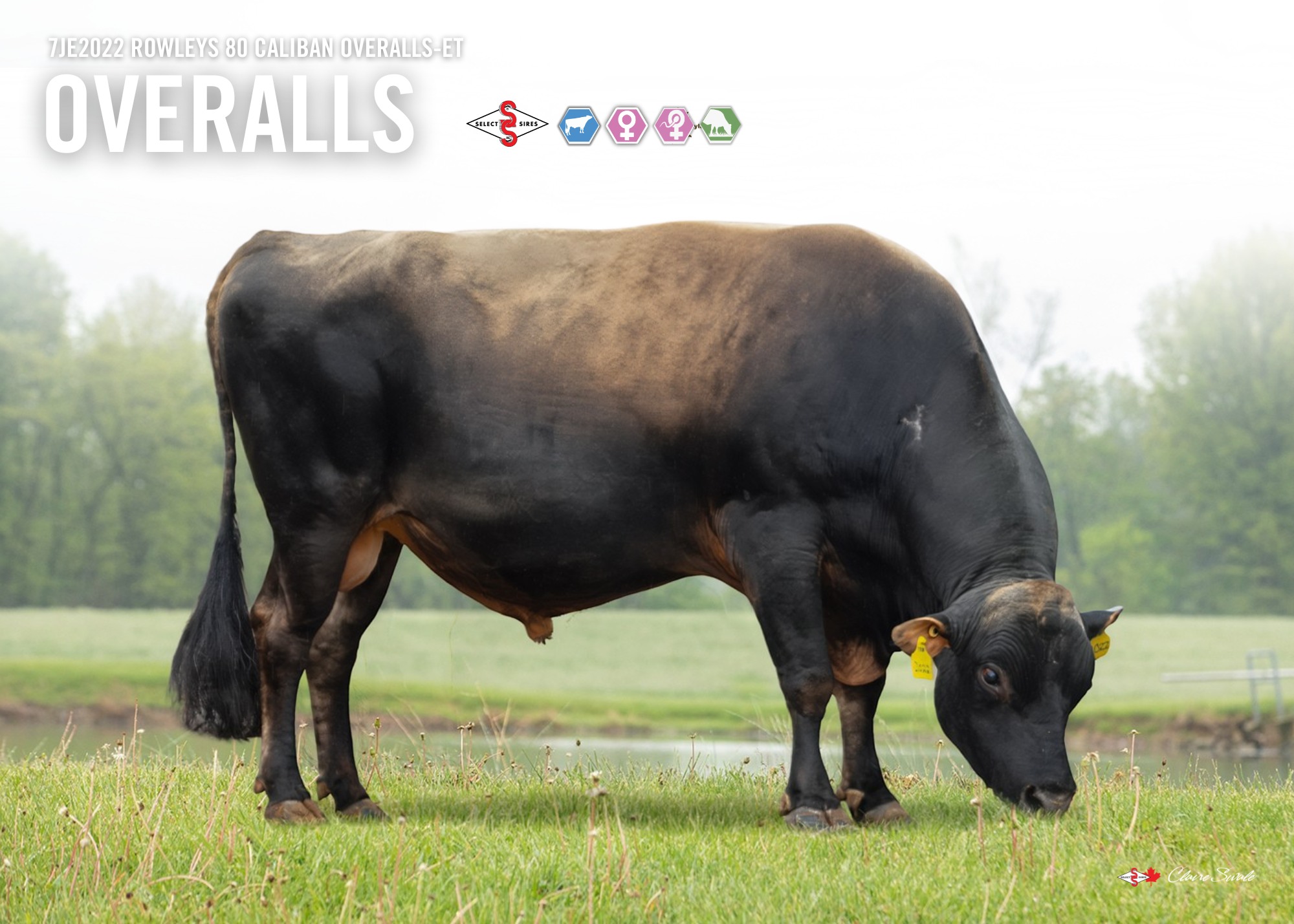 🧑‍🌾𝟳𝗝𝗘𝟮𝟬𝟮𝟮 𝗢𝗩𝗘𝗥𝗔𝗟𝗟𝗦🧑‍🌾 Adding a huge amount of