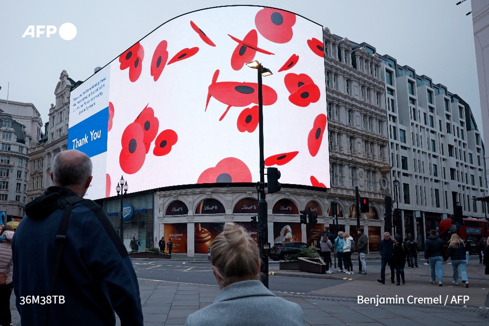AFP News Agency - A display of falling poppies on an... | Facebook