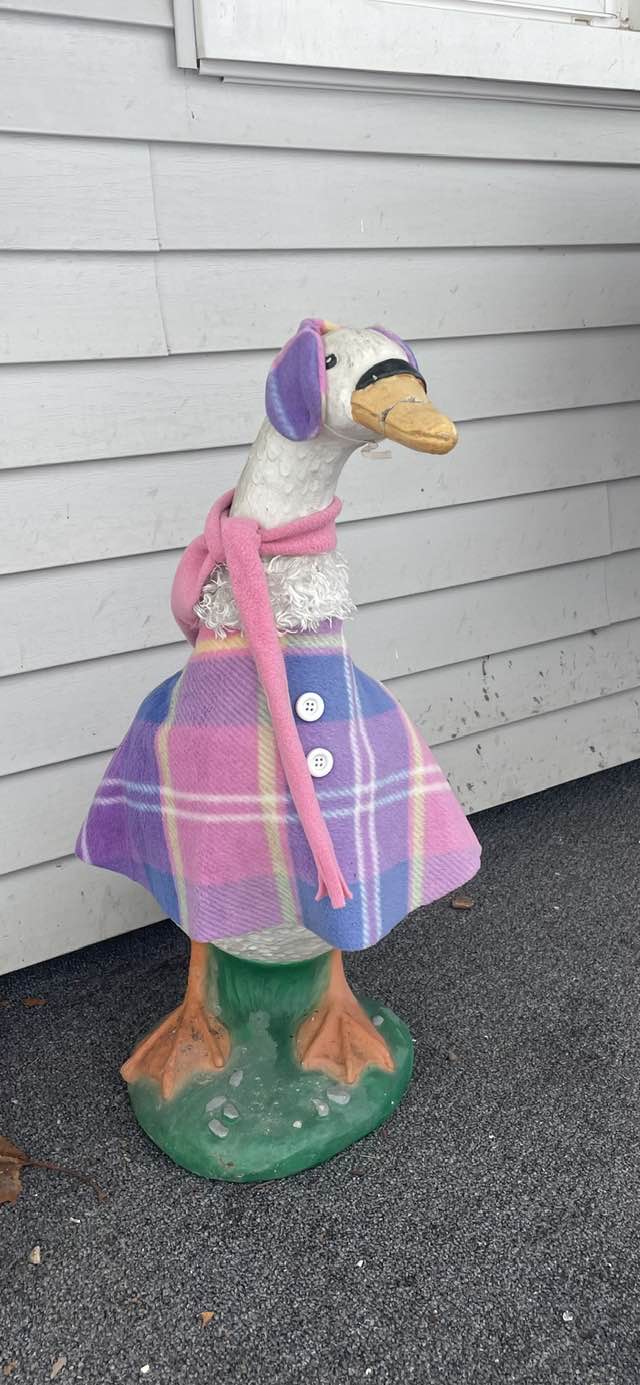 The Porch Goose Club of America | So about two years ago my youngest ...