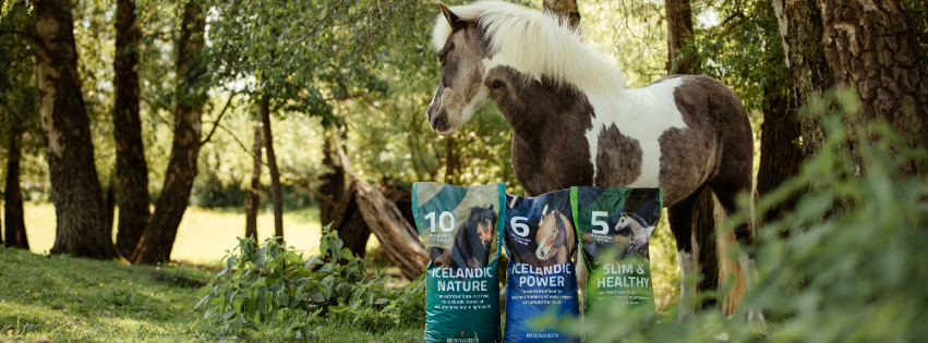 Støvlsig Hestefoder - Kender du Pavo Ease&Excel? 🐴⭐️ Pavo Ease&Excel er ...