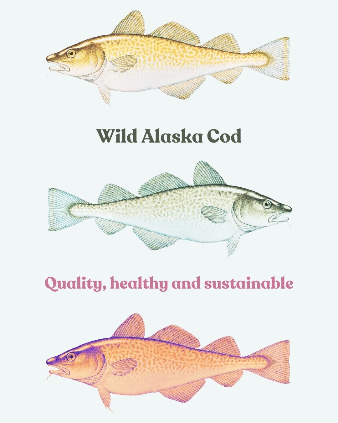 Alaska - 🐟 Cod: Quality, Health & Sustainability 🌍 Cod is an incredibly ...