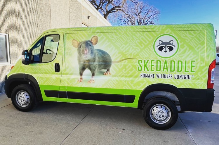 American Graphics & Installations | Des Moines IA