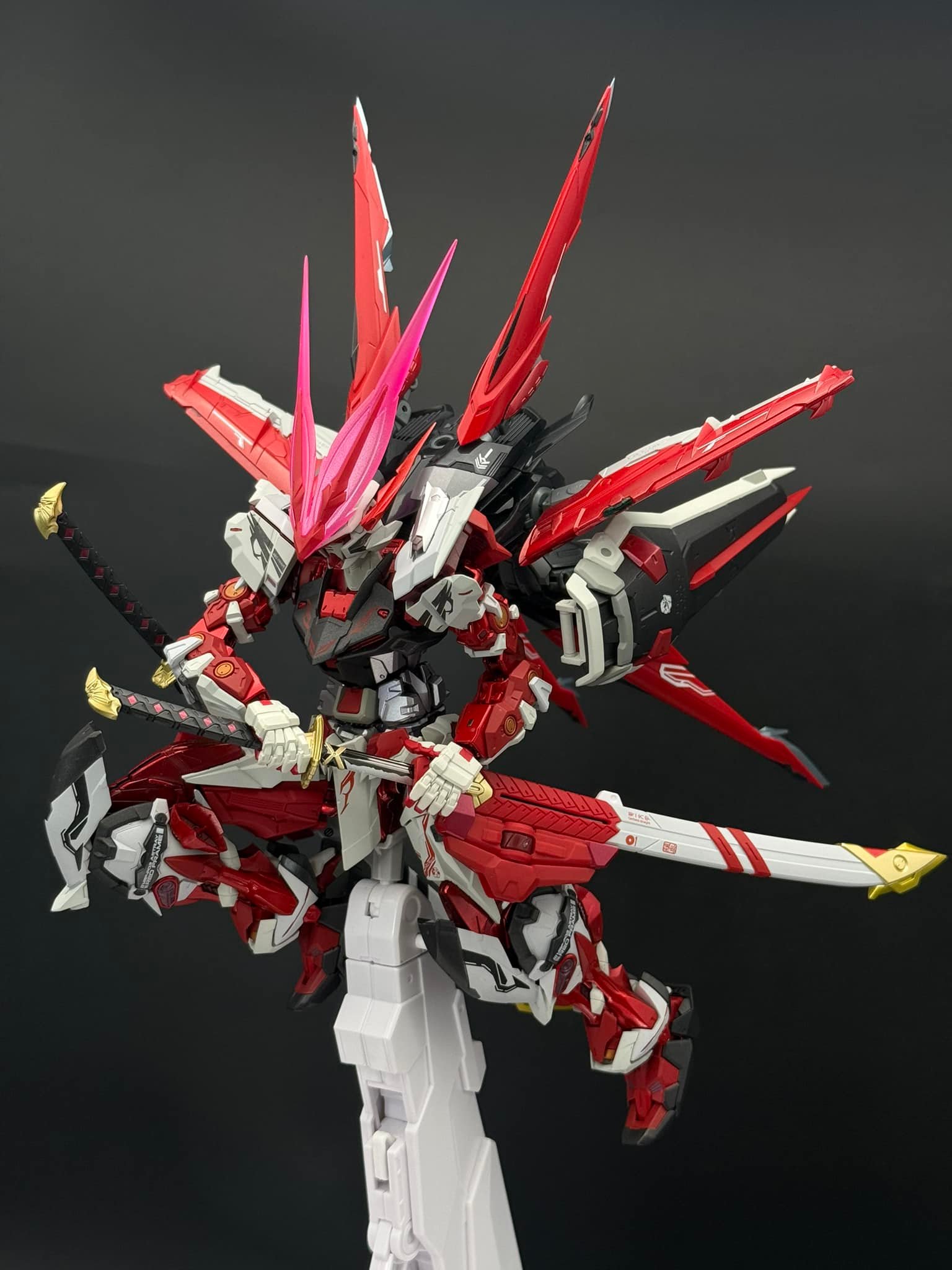 Sharing this Beautiful Gundam Astray Red Dragonics