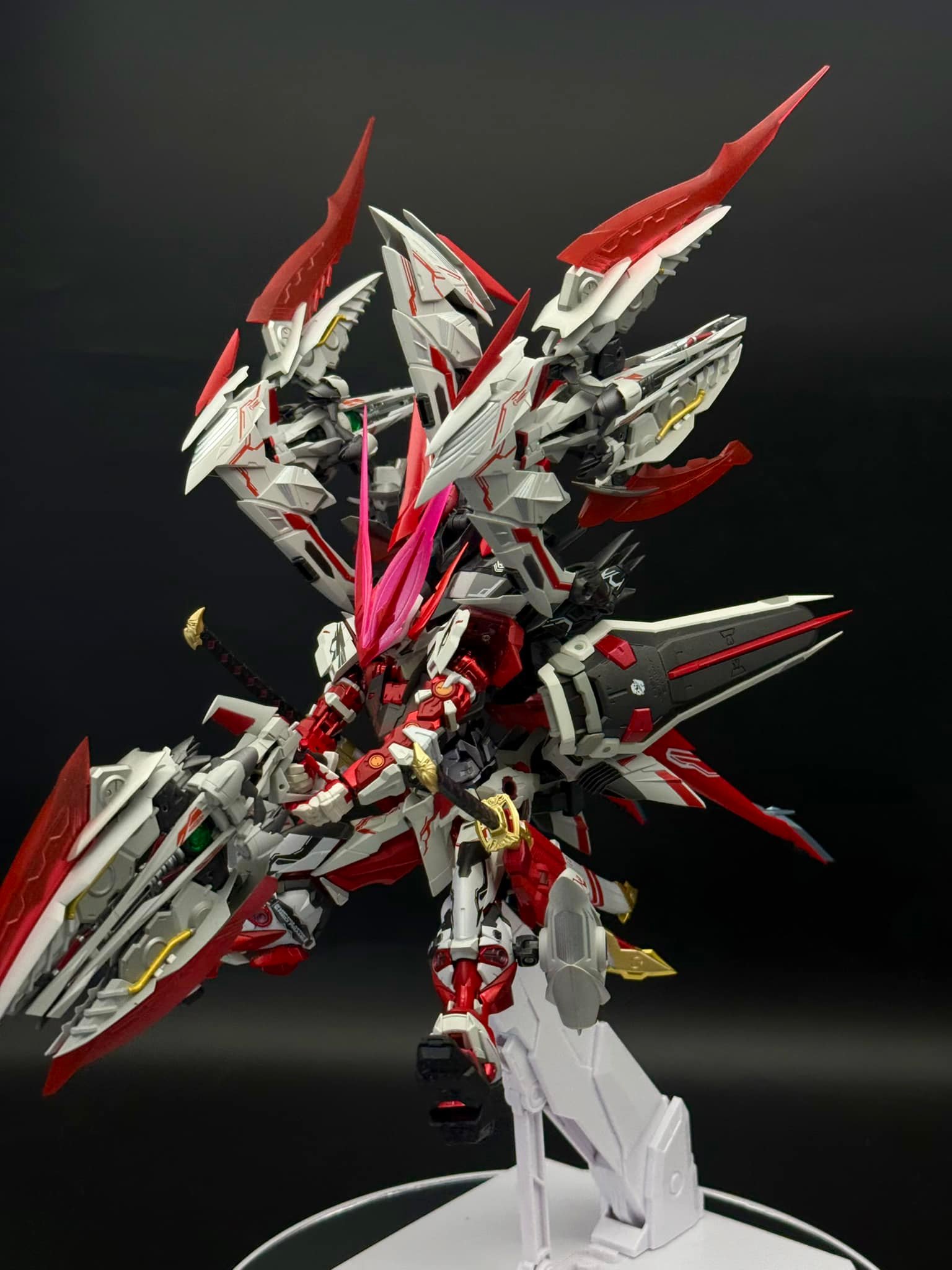 Sharing this Beautiful Gundam Astray Red Dragonics