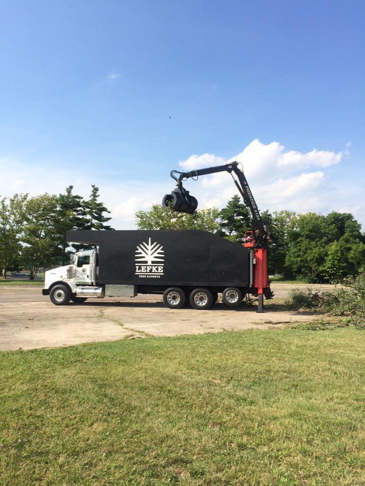 Lefke Tree Experts | Loveland OH