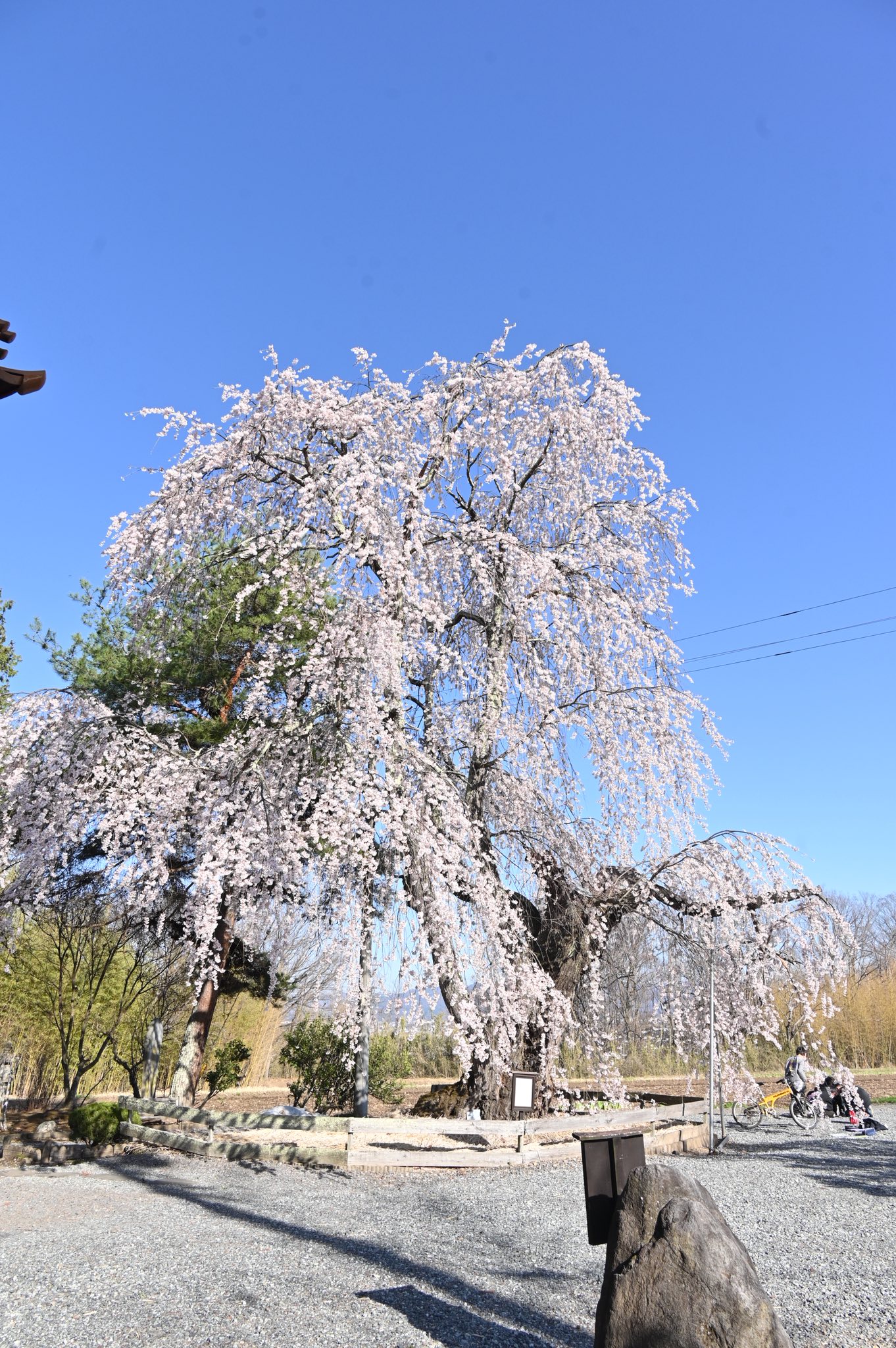 佐久 市 岩村田 天気