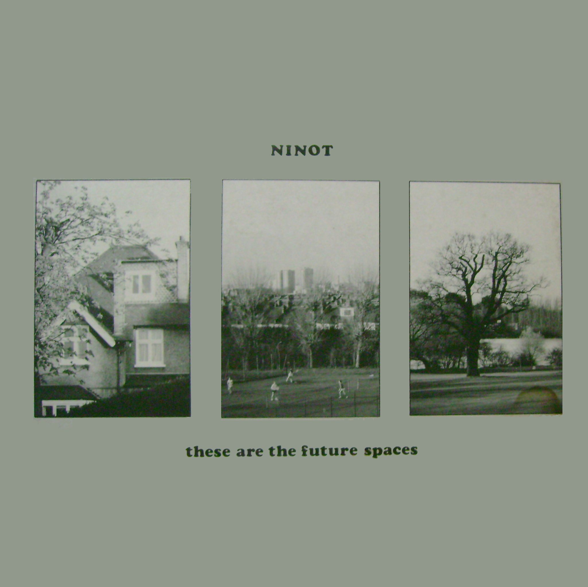 Ninot