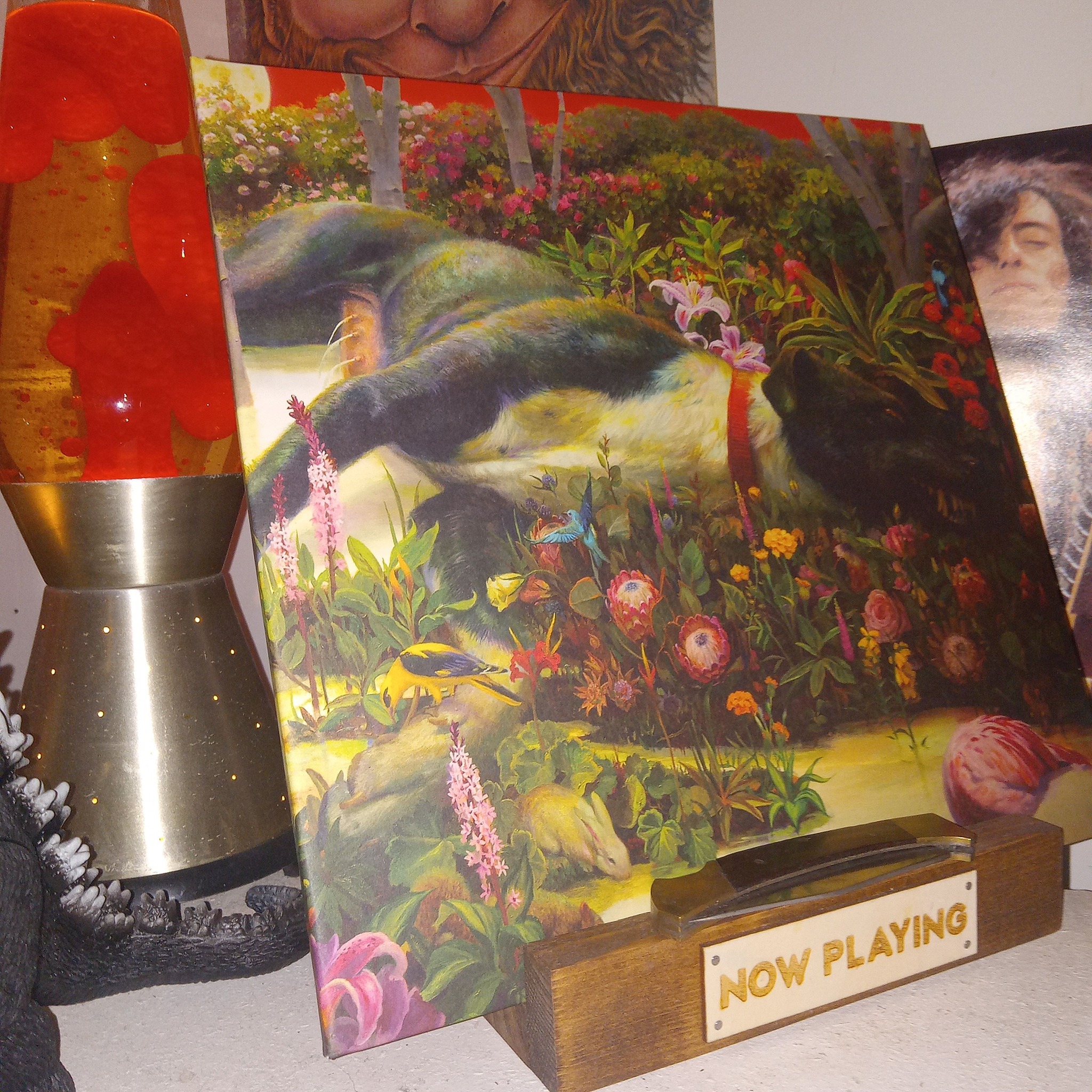 Rival Sons/Feral Roots vinyl has arrived 🔥 #martinwittfooth