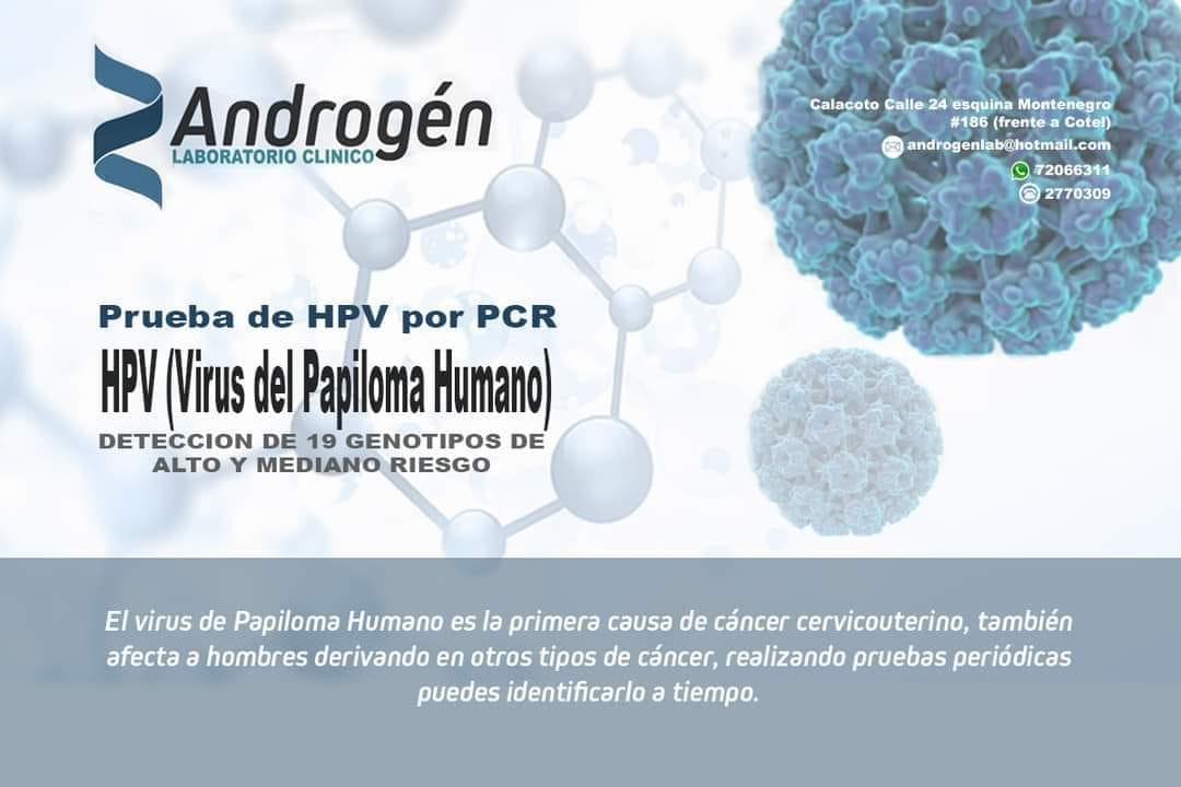 Androgén - Laboratorio Clínico | La Paz