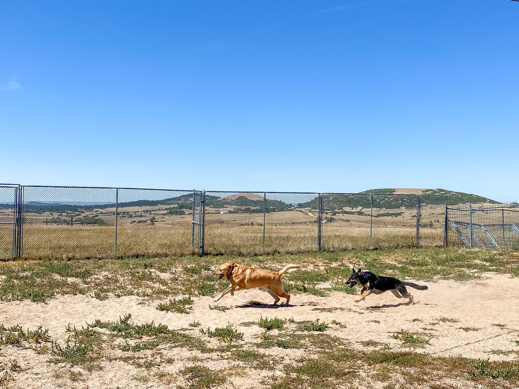 Ruff House Dog Ranch