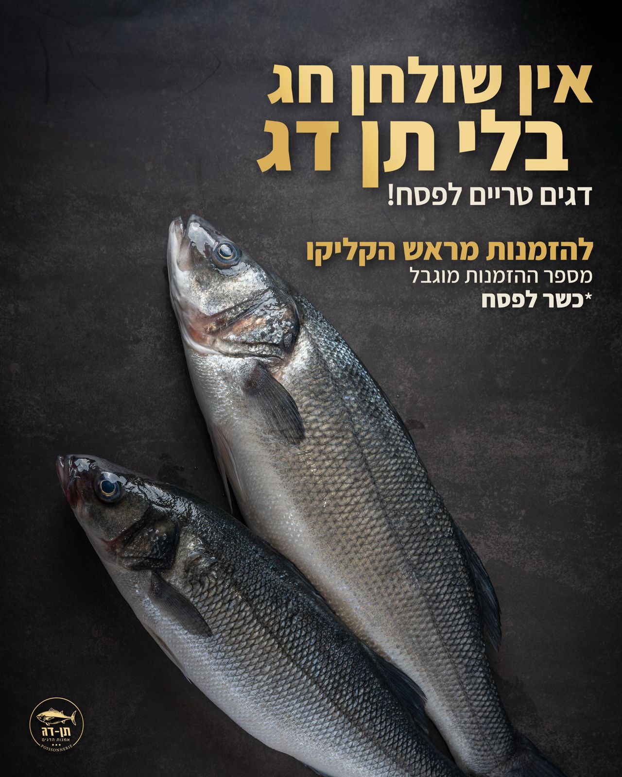 תן דג - דגים לפסח קונים בתן דג! 🐠 מחכים לכם עם דגי... | Facebook