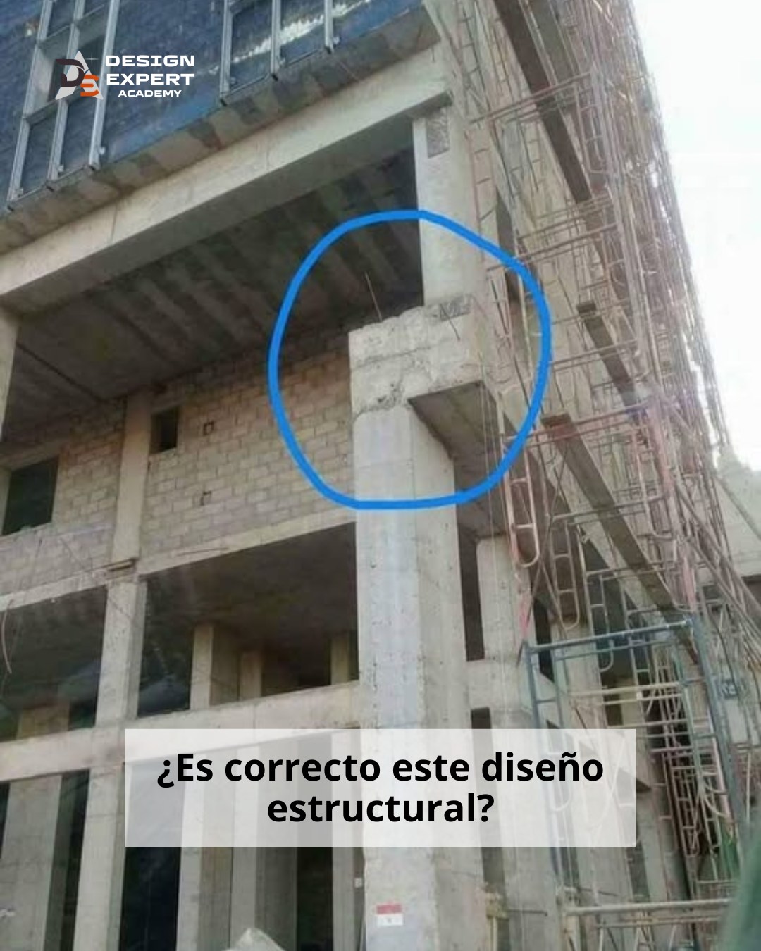Design - 🔵 Lo que ves en la imagen no es un error de edición… es real ...