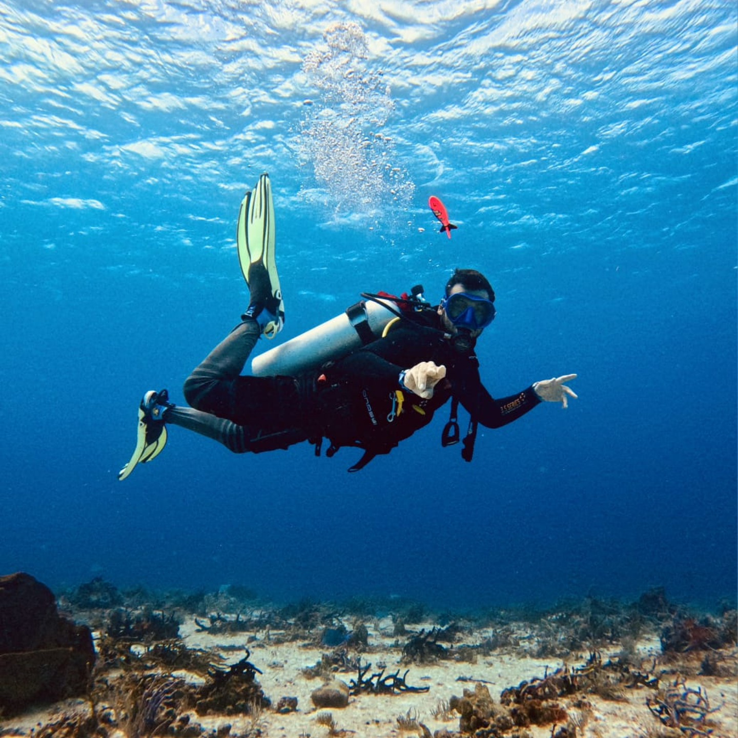 The Bubble Path Scuba Diving | San Miguel de Cozumel