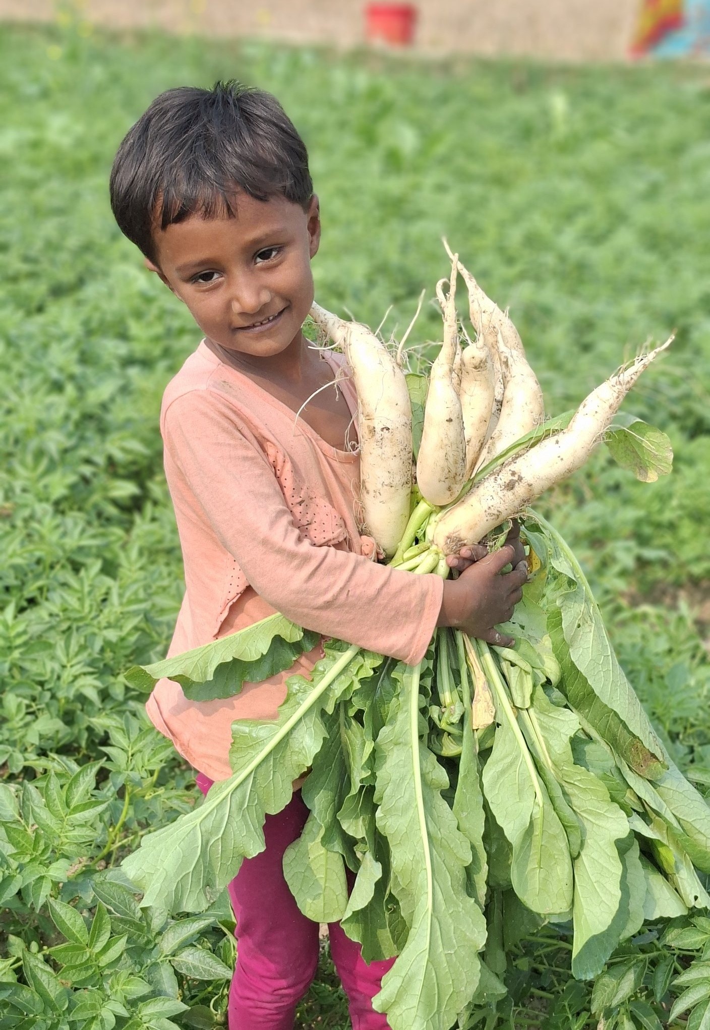 dinajpur