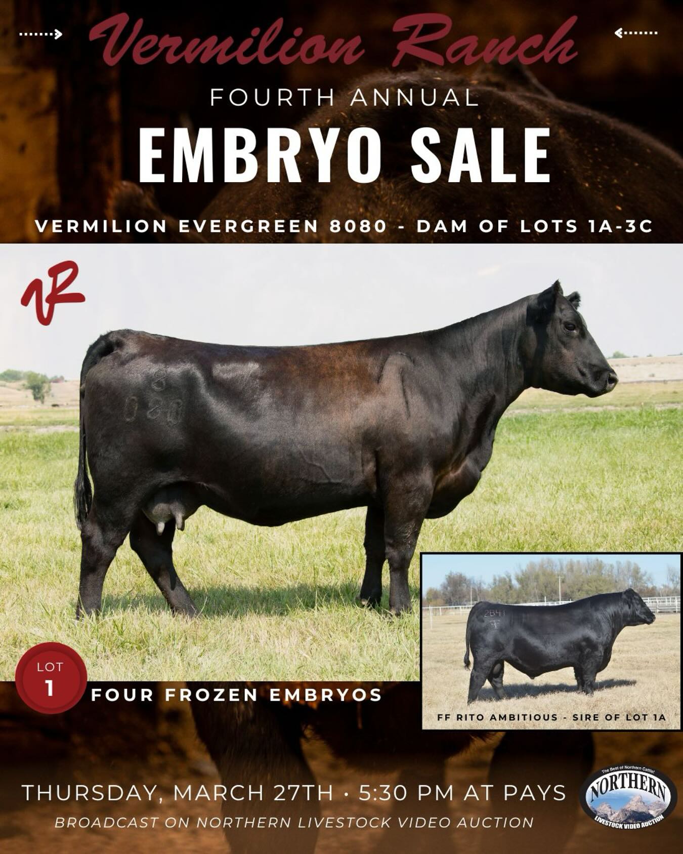 Vermilion - The elite pairing of FF Rito Ambitious and Vermilion ...