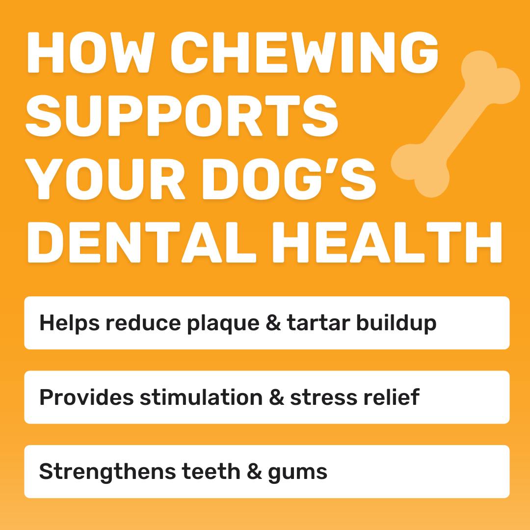 Picture of Helping - Chewing isn’t just fun—it’s great for your dog’s teeth! Not ...