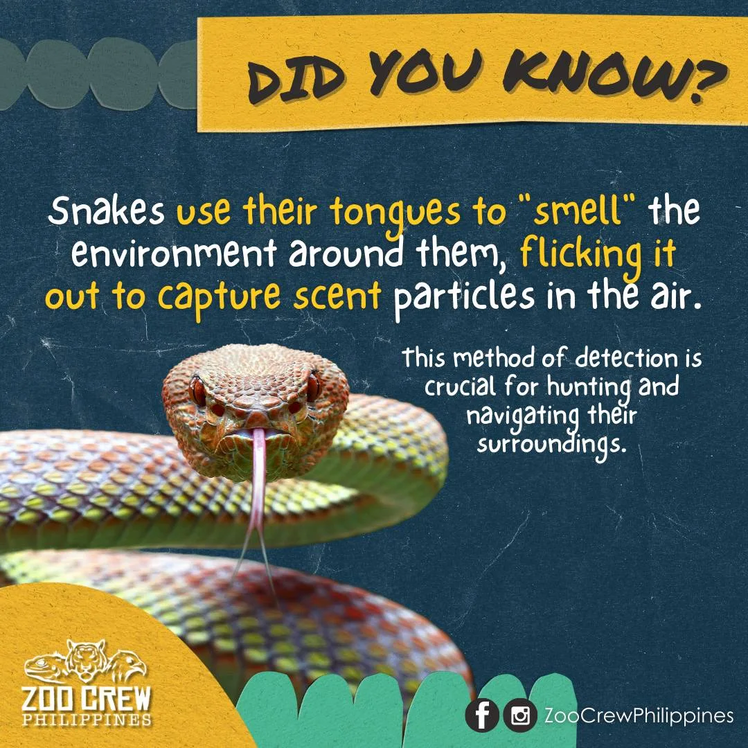 Zoo - #AnimalFunFacts #Trivias#DidYouKnow #PurposeOfZoos #Education # ...