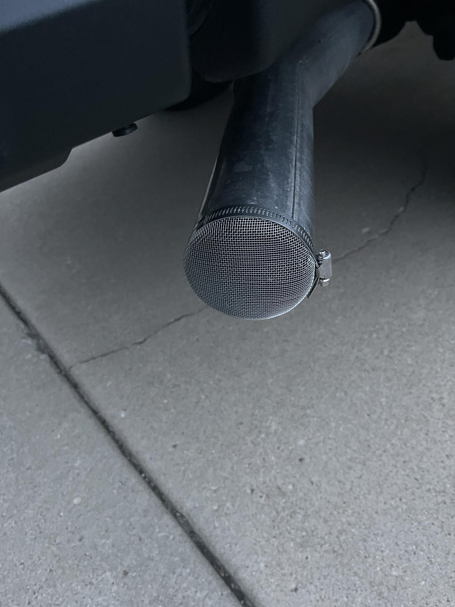 Sparrow nests in car air intake tubes