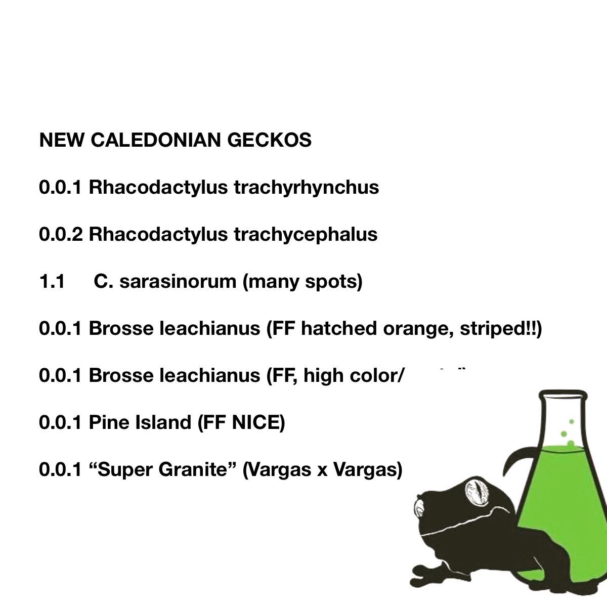 Secret Laboratory Geckos