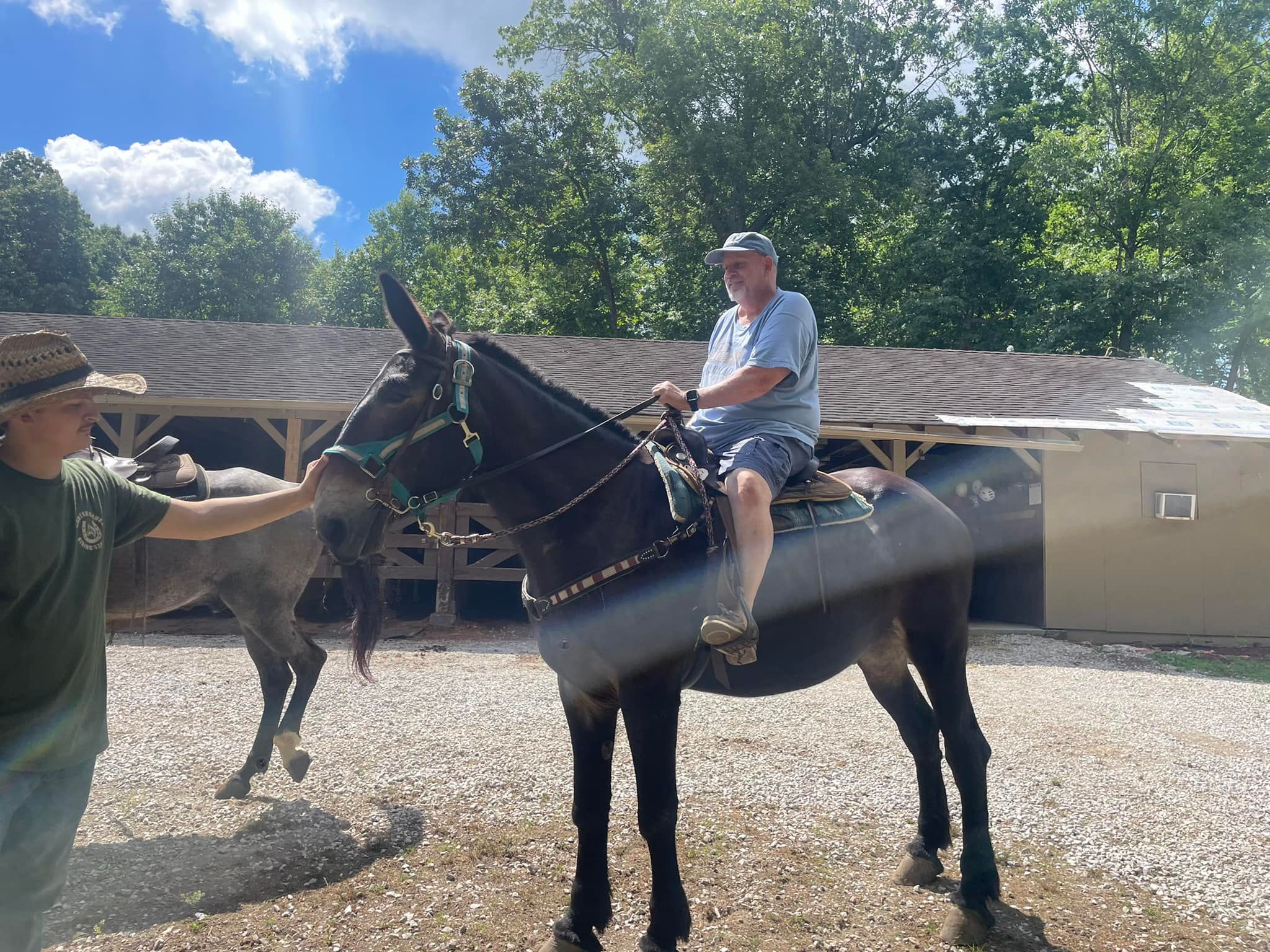 Carter Caves Trail Riding Stables | Carter KY