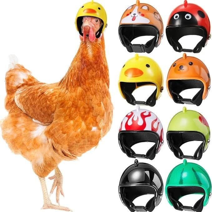 shoei rf 1200 black friday sale RF-1400 Helmet Or2 Hybrid Schwinn Or2 fish tank decor ornaments Leather:White and Gold Compact lightweight aerodynamic design