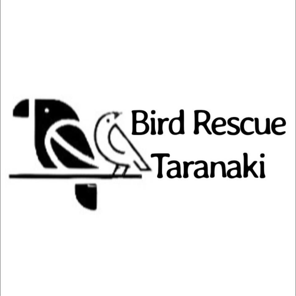 These... - Bird Rescue, Rehoming and Adoption, Taranaki, NZ | Facebook