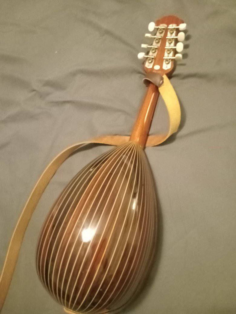 KISO SUZUKI バイオリン NO.200 1/4 T.SUGITO Mint condition Kiso-Suzuki model 200 mandolin found