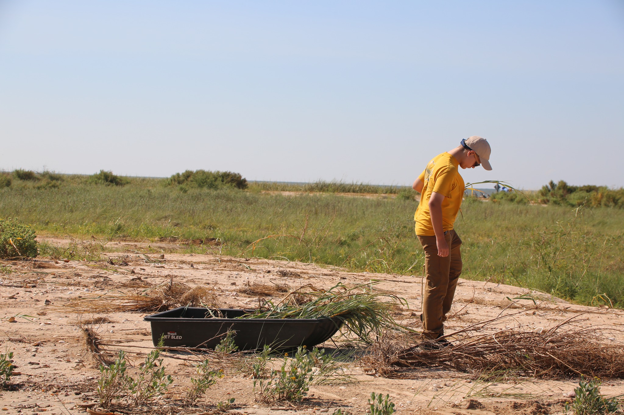 Dig Easy Compost