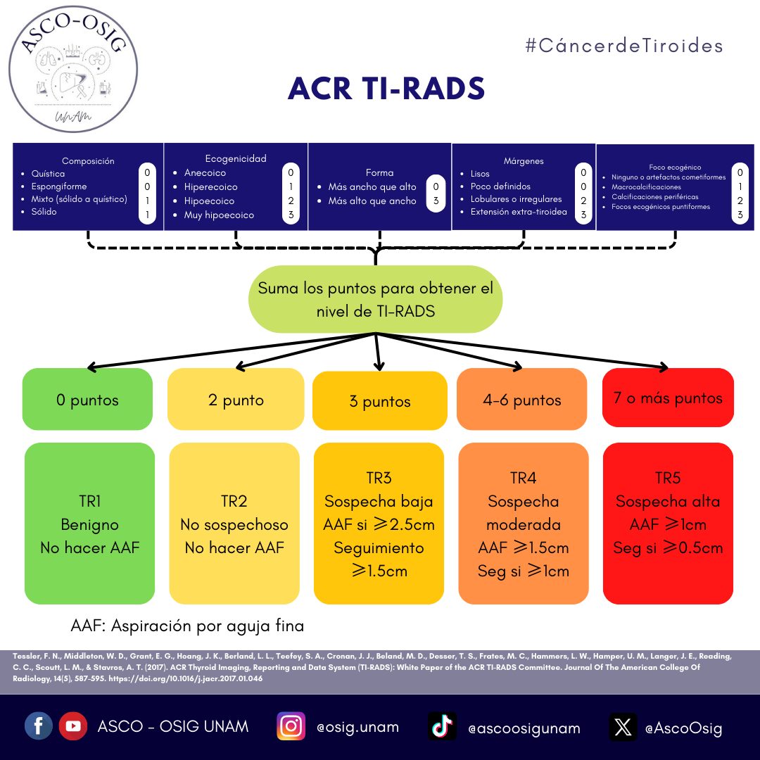 🦀 El TI-RADS del ACR utiliza un léxico... - ASCO - OSIG UNAM | Facebook