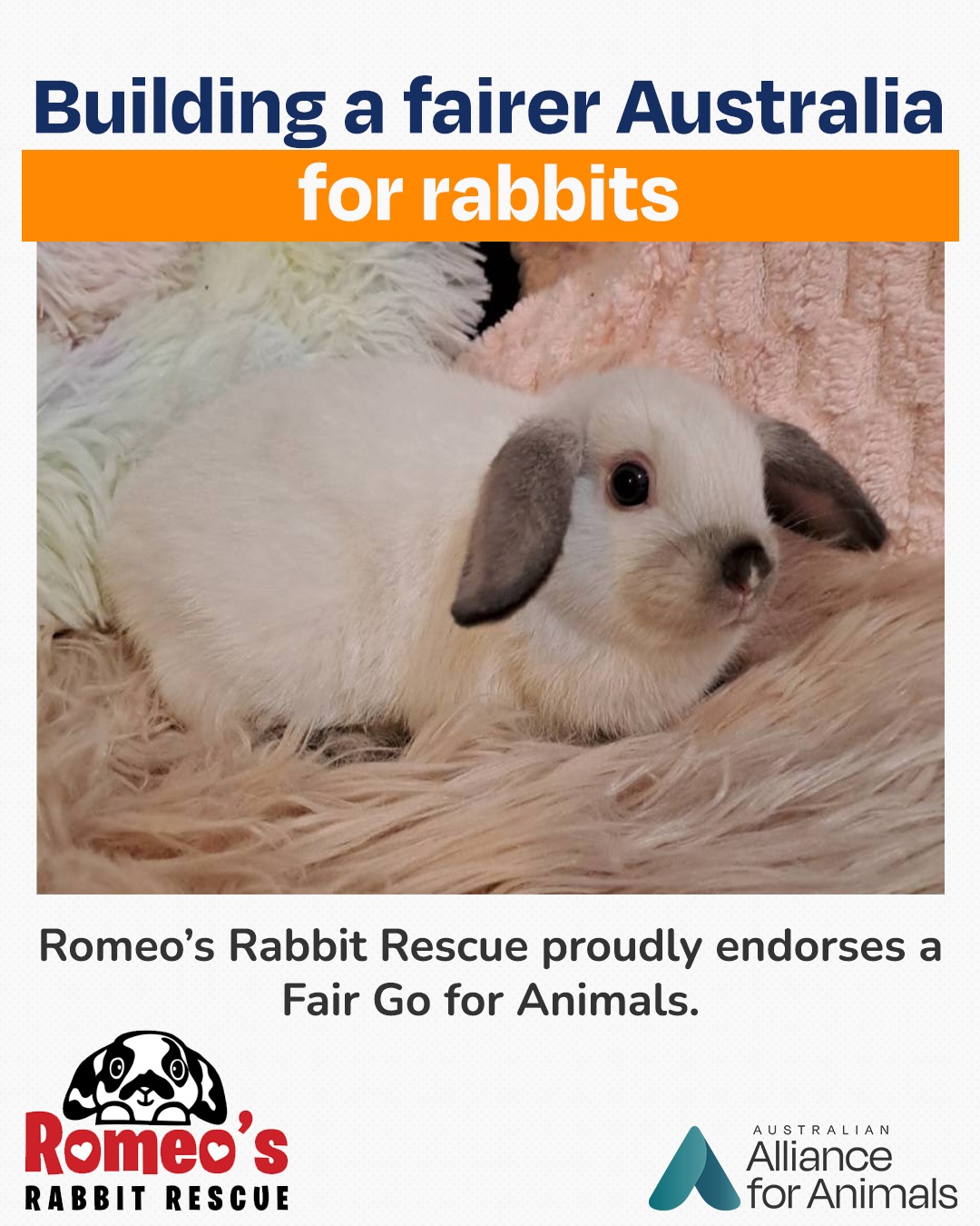 We’re proud to welcome... - Australian Alliance for Animals | Facebook
