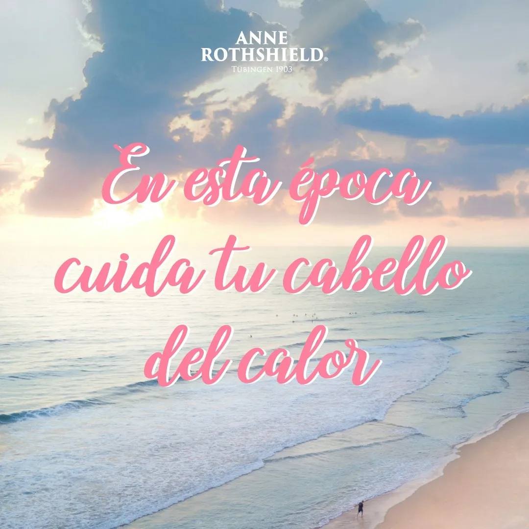 Anne Rothshield