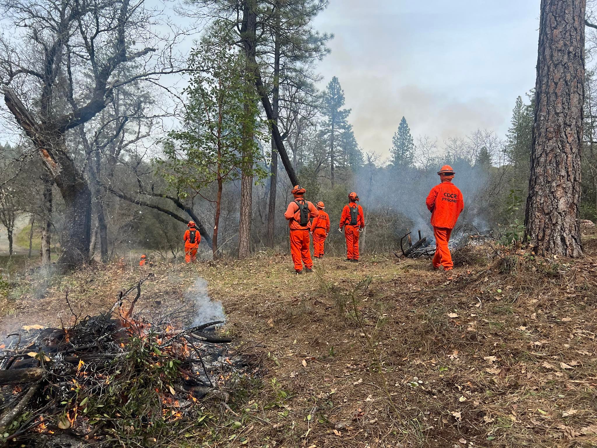 CAL FIRE NEU