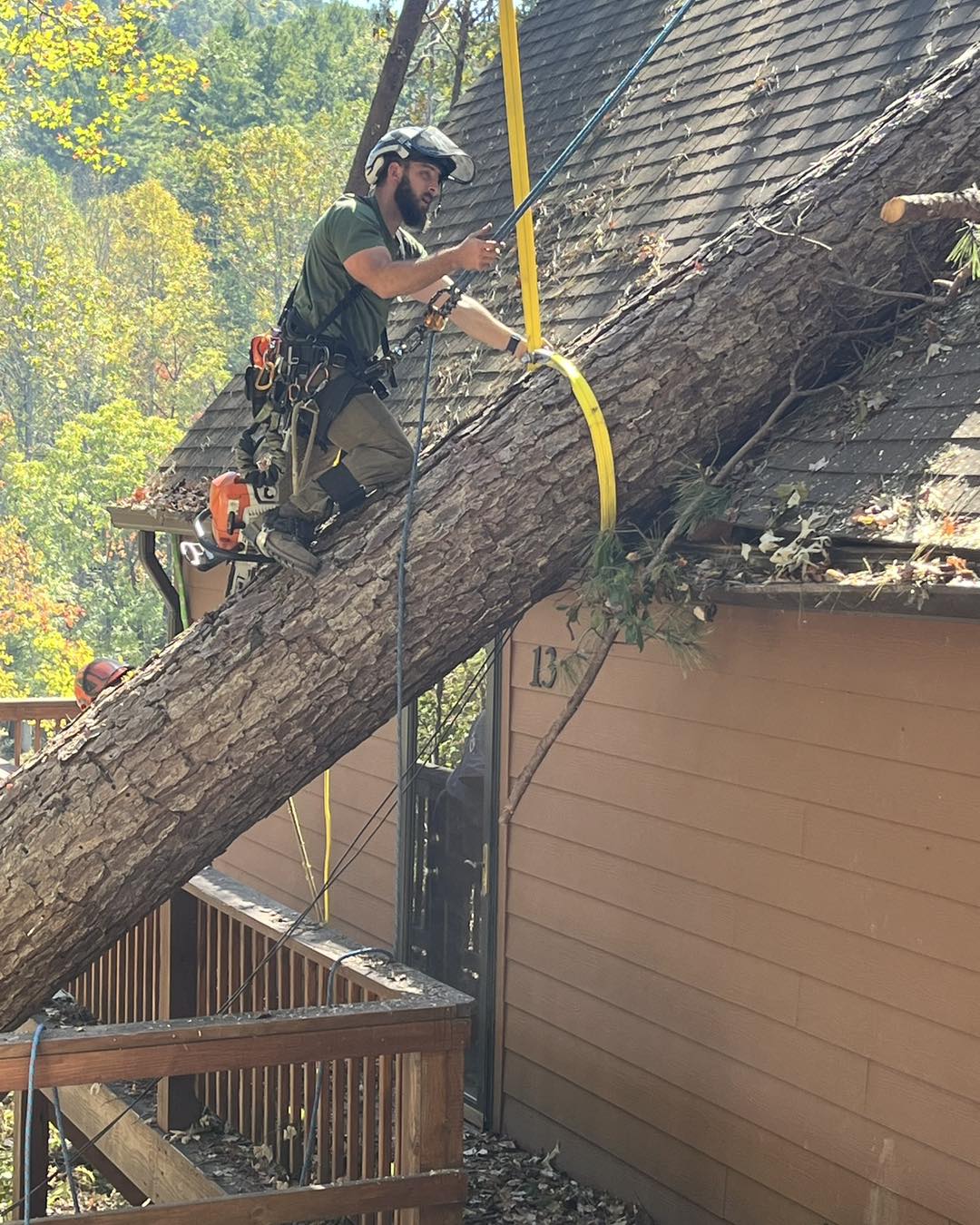 Ultimate Tree Service | Greenville NC