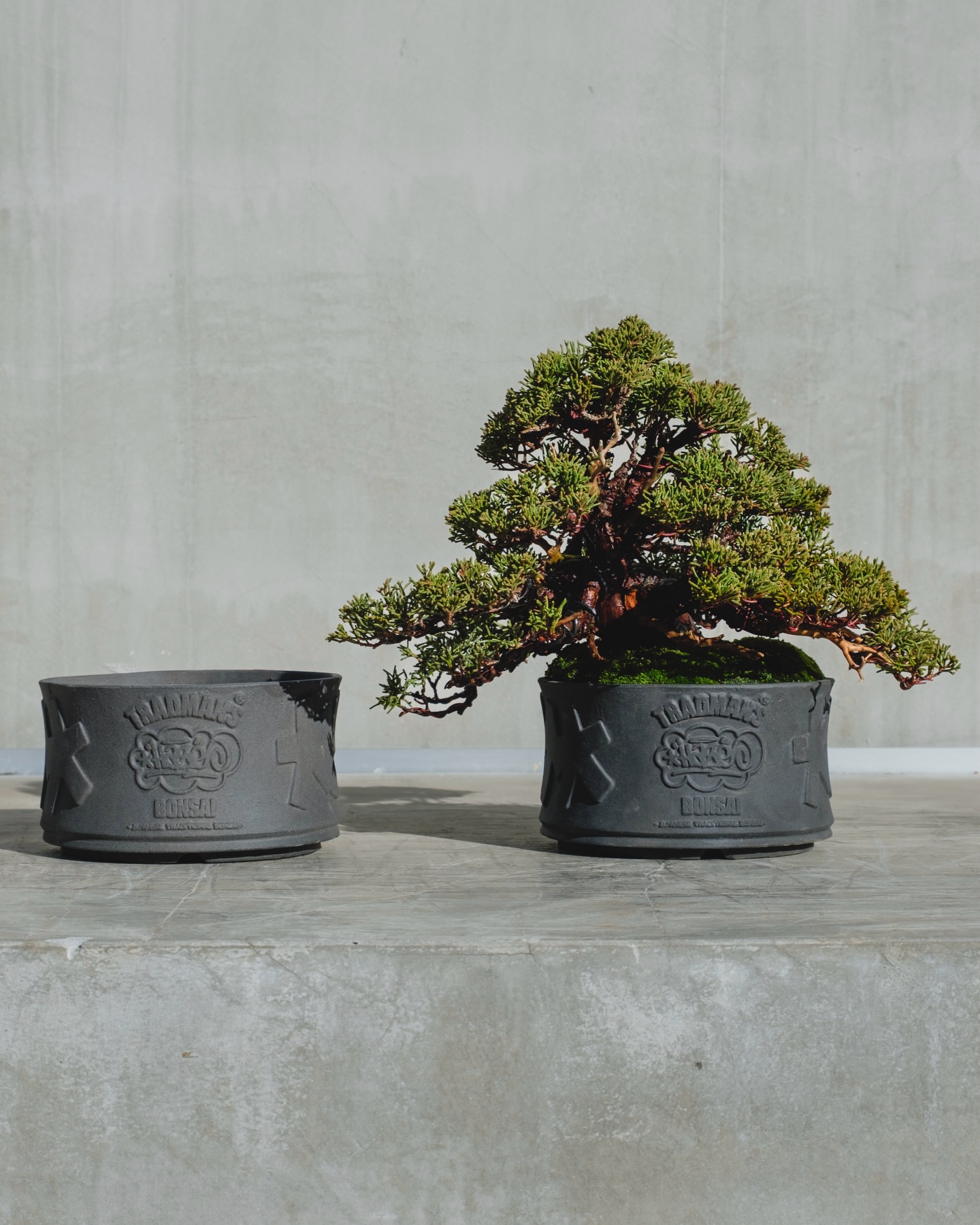 HAZE×TRADMAN’S BONSAI POT Facebook
