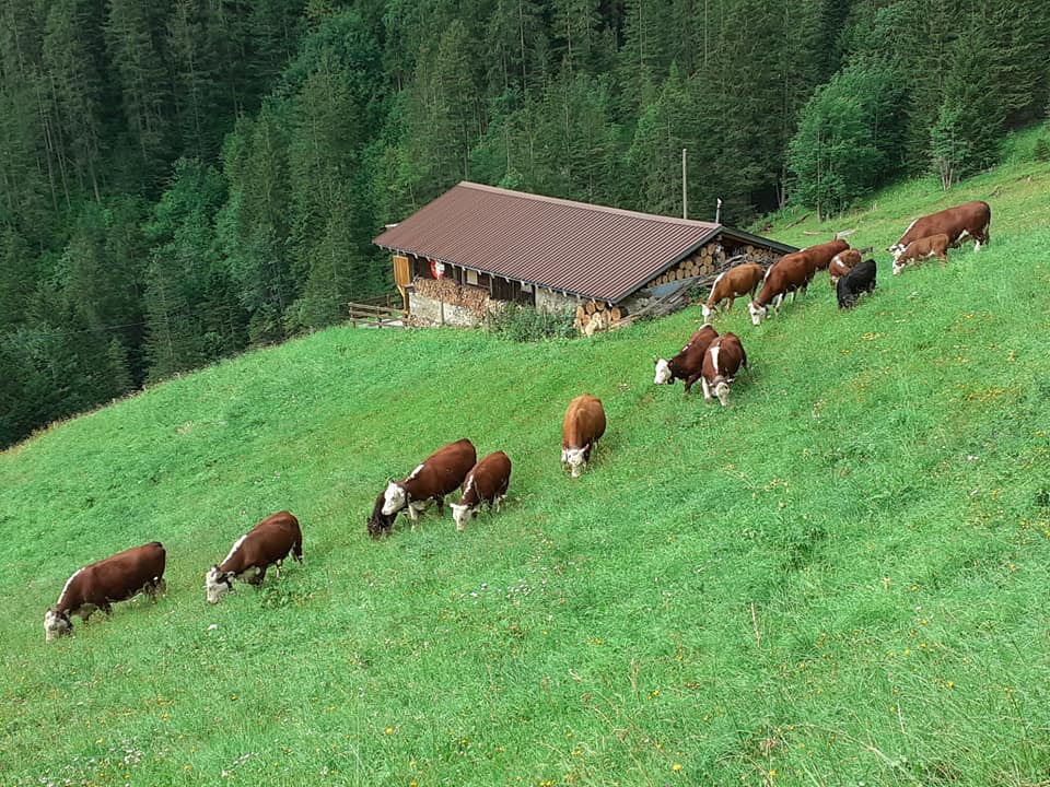 Richä's Ranch | Frutigen