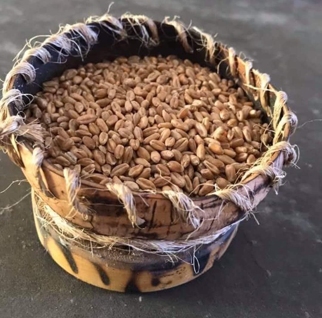 Organic wheat grass seeds |grow wheat grass at home -HK